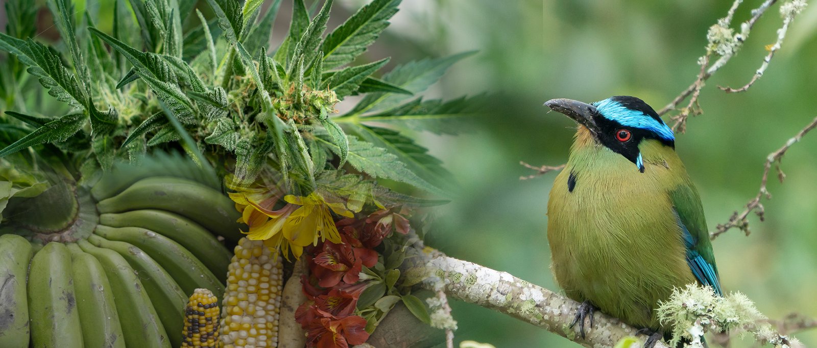 Productos por la calidad ambiental