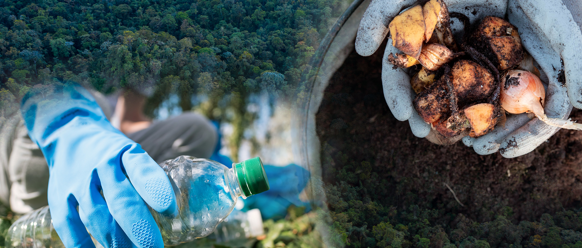 Bioproductos y servicios sostenibles
