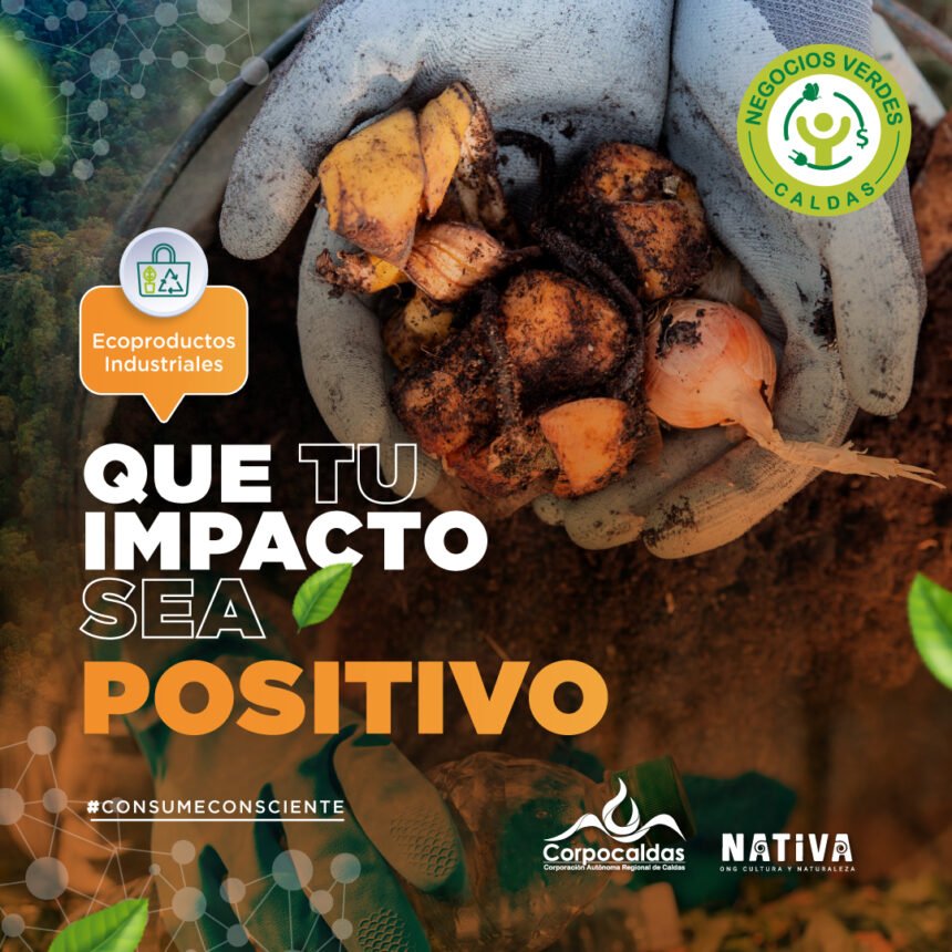 Publicaciones